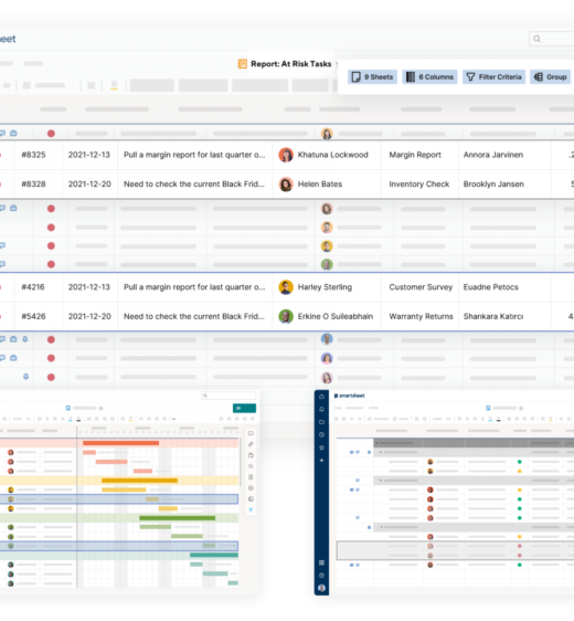 Curso personalizado en Smartsheet por PMO Rocks